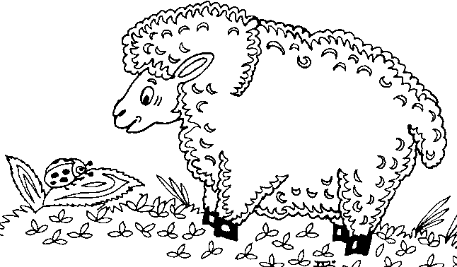 planse desene de colorat oaie miel